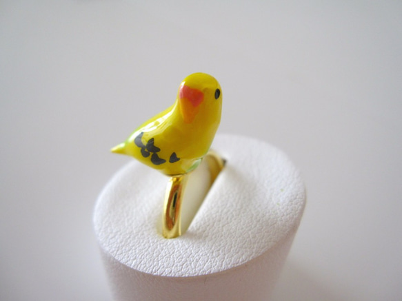 虎皮鸚鵡（黃色）戒指 第2張的照片