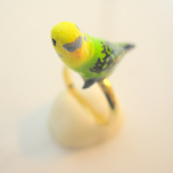 虎皮鸚鵡（綠色）戒指 第4張的照片