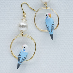 環騎虎皮鸚鵡（淺藍色）耳環，配以純棉珍珠耳環 第4張的照片