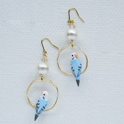 環騎虎皮鸚鵡（淺藍色）耳環，配以純棉珍珠耳環 第5張的照片