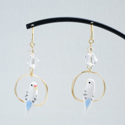 環騎虎皮鸚鵡（白色）水晶耳環 第2張的照片