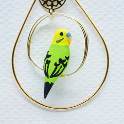 環騎虎皮鸚鵡（綠色）封閉式穿孔耳環帶配件 第8張的照片