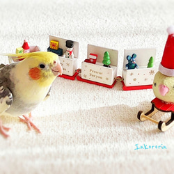 オカメインコ　クリスマスカード3枚セット 1枚目の画像