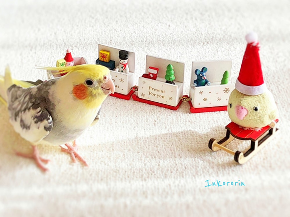 オカメインコ　クリスマスカード3枚セット 1枚目の画像