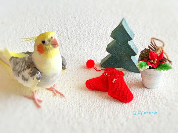 オカメインコ　クリスマスカード3枚セット 2枚目の画像