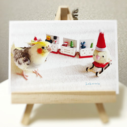 オカメインコ　クリスマスカード3枚セット 4枚目の画像