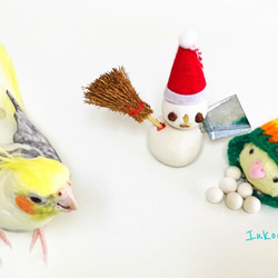 オカメインコ　クリスマスカード3枚セット② 3枚目の画像