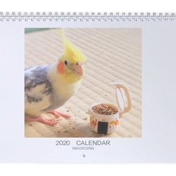 うちのインコ　壁掛けカレンダー2020 1枚目の画像