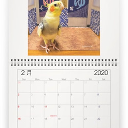 うちのインコ　壁掛けカレンダー2020 3枚目の画像