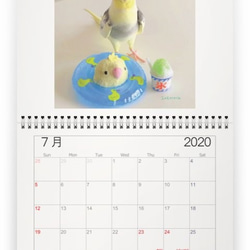 うちのインコ　壁掛けカレンダー2020 6枚目の画像