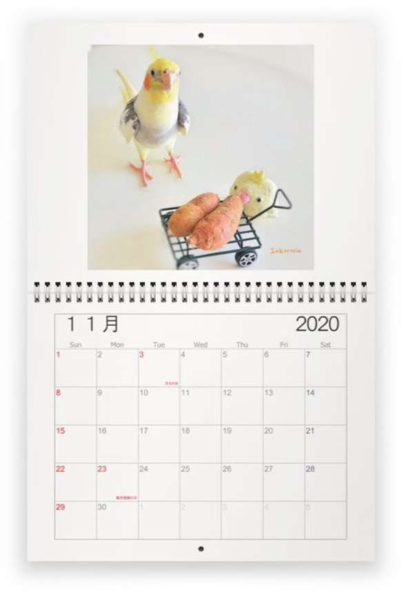 うちのインコ　壁掛けカレンダー2020 9枚目の画像