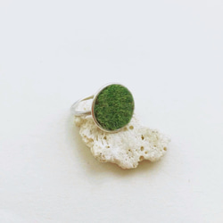 芝生リング シルバー 2枚目の画像