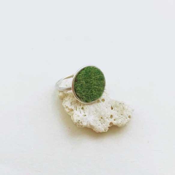 芝生リング シルバー 2枚目の画像