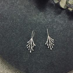 プランツピアス／イヤリング　銀 -Silver 1枚目の画像